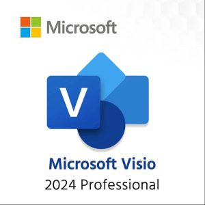 Microsoft Visio Professional 2024 (最新 永続版) |オンラインコード版|Win11/Win10対応|1PC