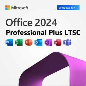 Microsoft Office 2024 Professional Plus LTSC 1PC ライセンス ダウンロード版 Windows11/10対応